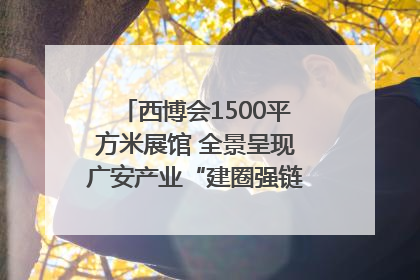 西博会1500平方米展馆 全景呈现广安产业“建圈强链”｜西博视界