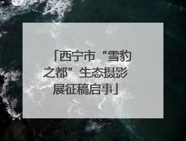 西宁市“雪豹之都”生态摄影展征稿启事