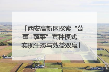西安高新区探索“葡萄+蔬菜”套种模式 实现生态与效益双赢