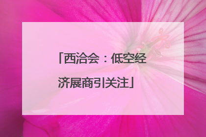 西洽会：低空经济展商引关注