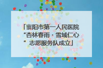 襄阳市第一人民医院“杏林春雨・雪域仁心”志愿服务队成立