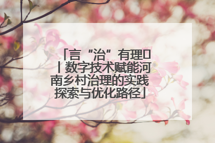言“治”有理⑪丨数字技术赋能河南乡村治理的实践探索与优化路径