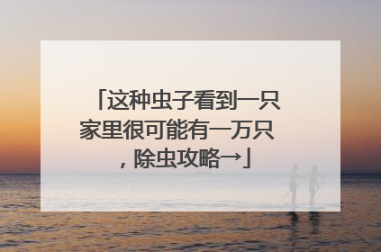 这种虫子看到一只家里很可能有一万只，除虫攻略→