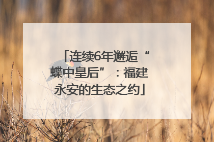连续6年邂逅“蝶中皇后”：福建永安的生态之约