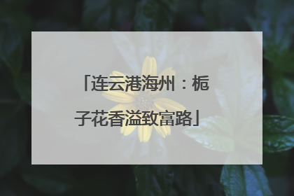 连云港海州：栀子花香溢致富路