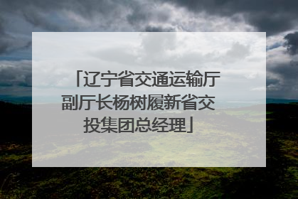 辽宁省交通运输厅副厅长杨树履新省交投集团总经理