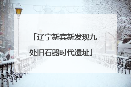 辽宁新宾新发现九处旧石器时代遗址