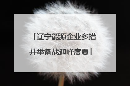 辽宁能源企业多措并举备战迎峰度夏