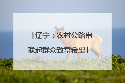 辽宁：农村公路串联起群众致富希望