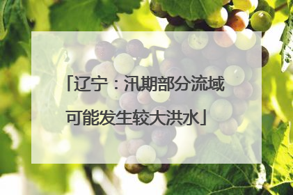 辽宁：汛期部分流域可能发生较大洪水