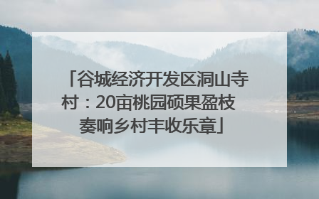 谷城经济开发区洞山寺村：20亩桃园硕果盈枝 奏响乡村丰收乐章
