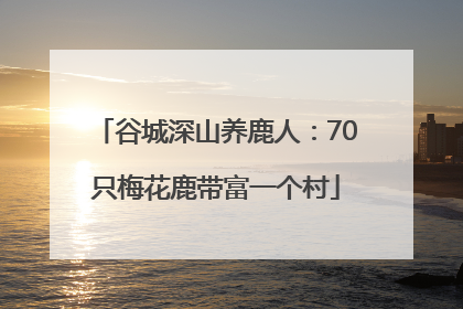 谷城深山养鹿人：70只梅花鹿带富一个村