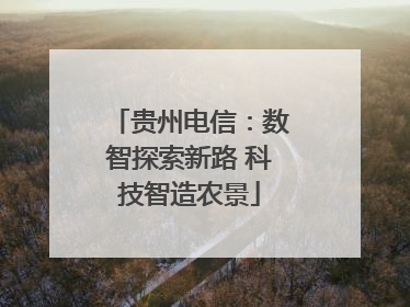 贵州电信：数智探索新路 科技智造农景