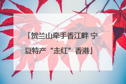 贺兰山牵手香江畔 宁夏特产“走红”香港