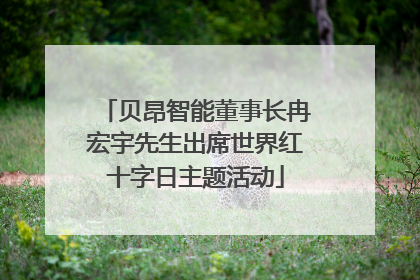 贝昂智能董事长冉宏宇先生出席世界红十字日主题活动