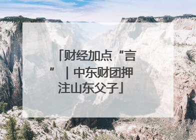 财经加点“言”｜中东财团押注山东父子
