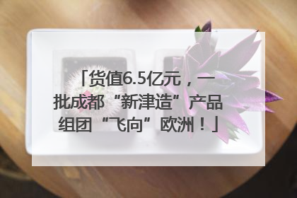 货值6.5亿元，一批成都“新津造”产品组团“飞向”欧洲！