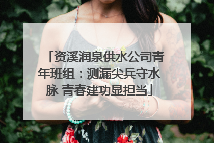 资溪润泉供水公司青年班组：测漏尖兵守水脉 青春建功显担当