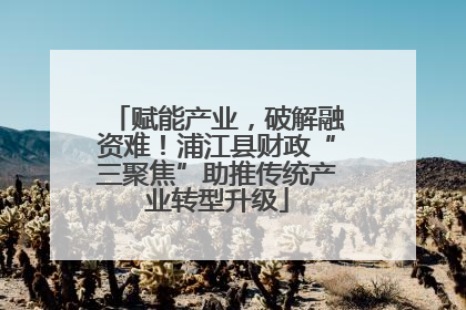赋能产业，破解融资难！浦江县财政“三聚焦”助推传统产业转型升级