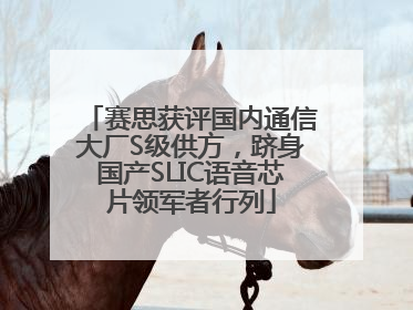 赛思获评国内通信大厂S级供方，跻身国产SLIC语音芯片领军者行列