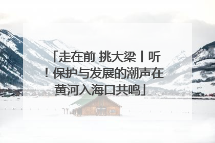 走在前 挑大梁丨听！保护与发展的潮声在黄河入海口共鸣