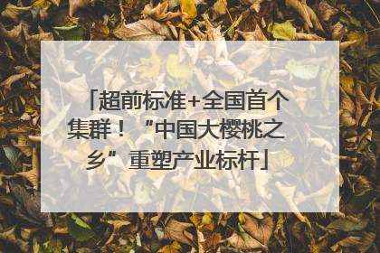 超前标准+全国首个集群！“中国大樱桃之乡”重塑产业标杆