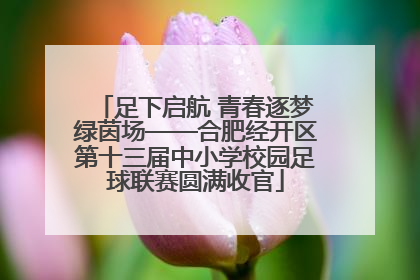 足下启航 青春逐梦绿茵场——合肥经开区第十三届中小学校园足球联赛圆满收官