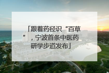 跟着药径识“百草”，宁波首条中医药研学步道发布
