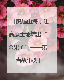 跨越山海，让高原土地结出“金果子”——援青故事②