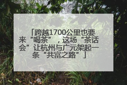 跨越1700公里也要来“喝茶”，这场“茶话会”让杭州与广元架起一条“共富之路”