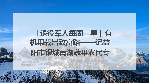 退役军人每周一星｜有机果栽出致富路——记益阳市银城南湖蔬果农民专业合作社总经理晏桂明