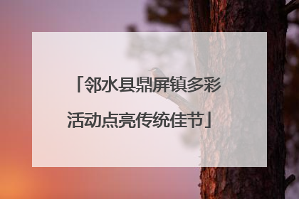 邻水县鼎屏镇多彩活动点亮传统佳节