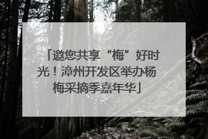 邀您共享“梅”好时光！漳州开发区举办杨梅采摘季嘉年华