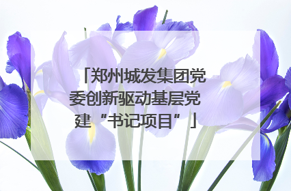 郑州城发集团党委创新驱动基层党建“书记项目”