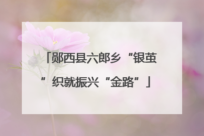 郧西县六郎乡“银茧”织就振兴“金路”