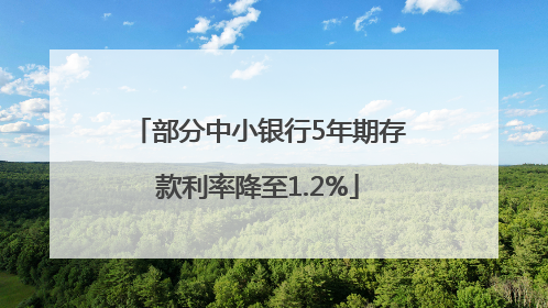 部分中小银行5年期存款利率降至1.2%