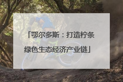 鄂尔多斯：打造柠条绿色生态经济产业链