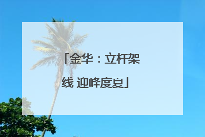 金华：立杆架线 迎峰度夏