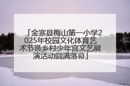 金寨县梅山第一小学2025年校园文化体育艺术节暨乡村少年宫文艺展演活动圆满落幕