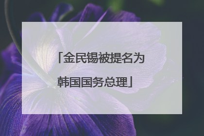 金民锡被提名为韩国国务总理