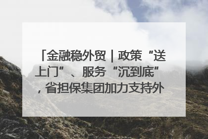 金融稳外贸｜政策“送上门”、服务“沉到底”，省担保集团加力支持外经贸高质量发展