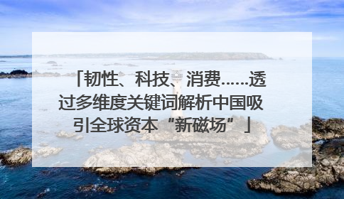 韧性、科技、消费……透过多维度关键词解析中国吸引全球资本“新磁场”