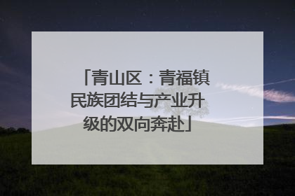 青山区：青福镇民族团结与产业升级的双向奔赴