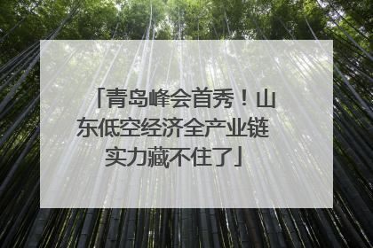 青岛峰会首秀！山东低空经济全产业链实力藏不住了