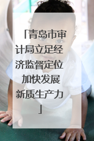 青岛市审计局立足经济监督定位 加快发展新质生产力