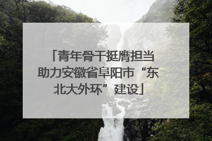 青年骨干挺膺担当 助力安徽省阜阳市“东北大外环”建设