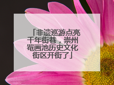 非遗巡游点亮千年街巷，崇州罨画池历史文化街区开街了
