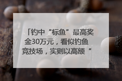 钓中“标鱼”最高奖金30万元，看似钓鱼竞技场，实则以高额“回报”作“饵”……｜今晚九点半