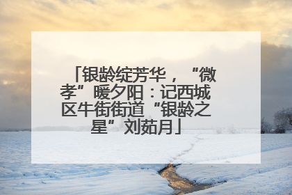 银龄绽芳华，“微孝”暖夕阳：记西城区牛街街道“银龄之星”刘茹月