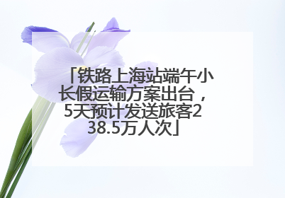 铁路上海站端午小长假运输方案出台，5天预计发送旅客238.5万人次